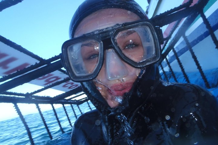 Gansbaai Shark Cage Diving with surface air available on request - Photo 1 of 25